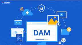 DAM. Análisis Global